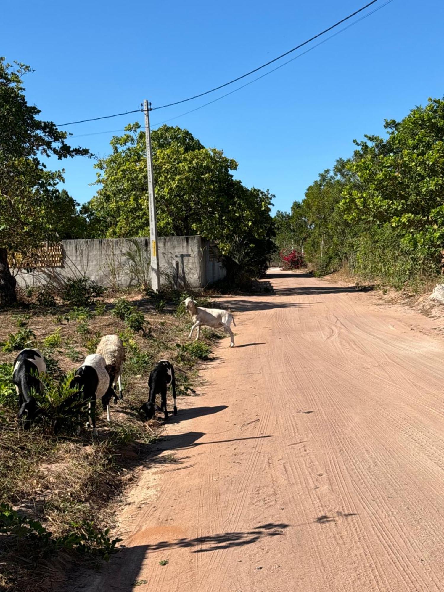 Casa Da Lagoa Jijoca de Jericoacoara Exterior foto
